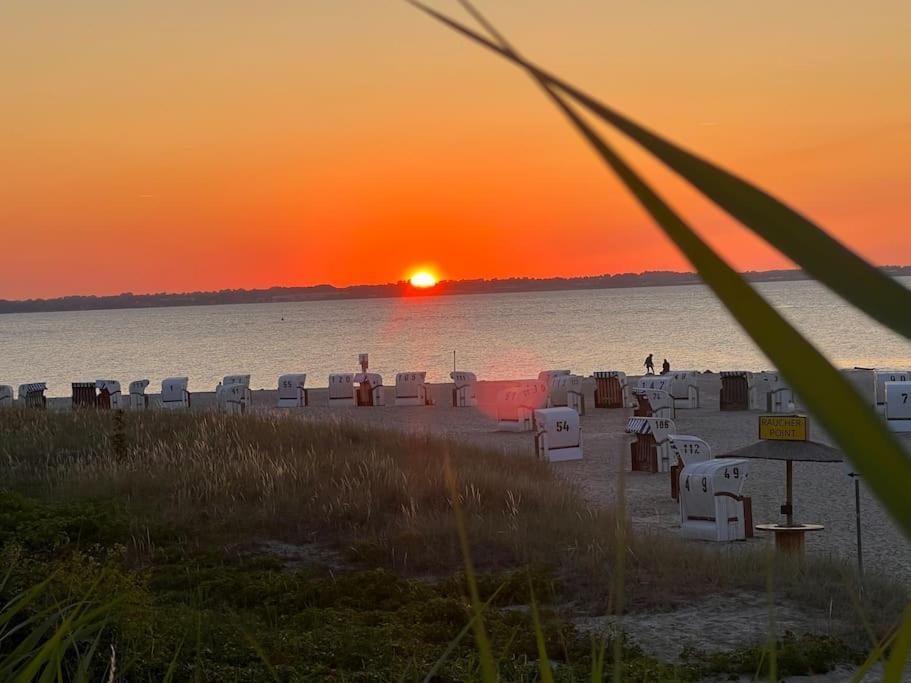 Neue Ferienwohnung Kuestennaehe Mit Terrasse 3Km Zum Strand Osdorf Esterno foto
